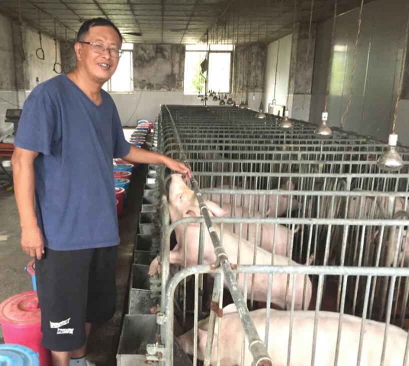 院士印遇龙：生态养殖第一人 把“猪”育出国际范