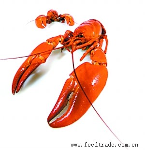 菜价米价悄然上涨
