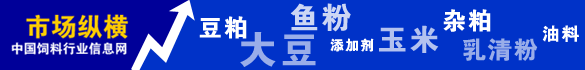 市场纵横
